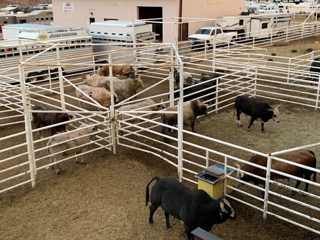 Farm and ranch insurance with livestock coverage